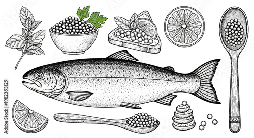 Salmon Fish with Caviar, Lemon, and Herbs - Vintage Engraving Style