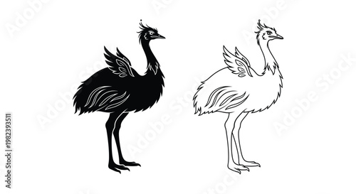 Ostrich, bird, black, white, illustration, vector graphics, animal icons, wildlife symbols
