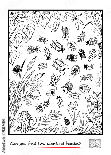 Can you find two identical beetles? Hand drawn vector illustration. Logic puzzle for children and adults. Game Seek and Find. Brain teaser book. Task for attentiveness IQ test. Black and white drawing