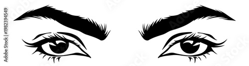 Obraz na plátně Black eyes and eyebrows silhouette, without background.