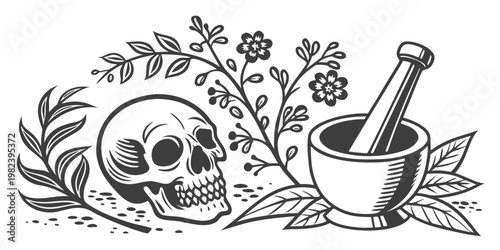 Vintage Apothecary Illustration with Skull Mortar and Herbal Plants