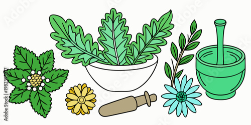 Herbal Medicine and Natural Beauty Ingredients Illustration Set