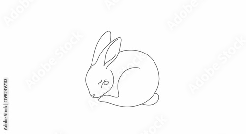 Cute Rabbit Sitting Alone Sleeping.