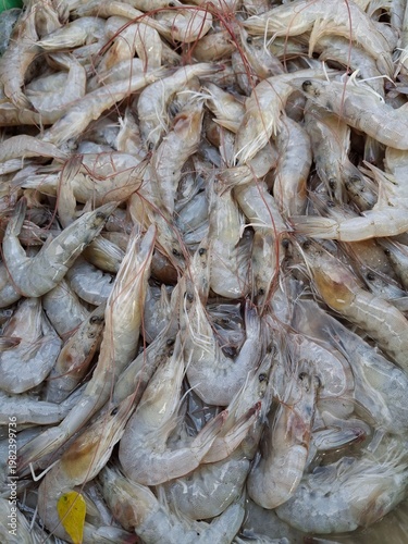 A pile of fresh shrimp for sale at the market, a pile of white shrimp (Litopenaeus vannamei), also often referred to as Pacific white shrimp. This shrimp is one of Indonesia's leading fishery commodit