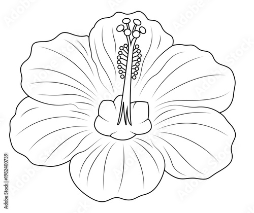 A strikingly simple image showcasing a solitary white dandelion seed head against a solid deep black background high quality professional detailed modern elegant stylish clean crisp