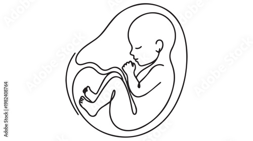Black and white illustration of fetus in womb during pregnancy, minimalist medical concept