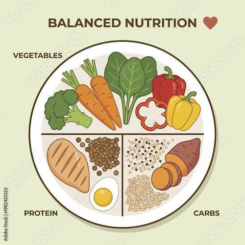 Balanced nutrition on a plate.