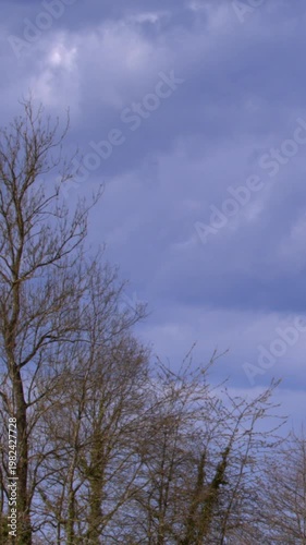 Lone Trees Reaching Into Stormfilled Violet Winter Sky Beneath Heavy Clouds