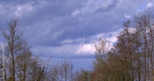 Menacing Storm Clouds Gather Above Leafless Trees As Rain Approaches