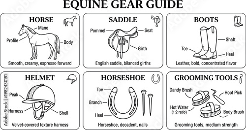Infographic vector collection of equine gear guide with diagrams of horse saddle, riding boots, and grooming tools, isolated on transparent background