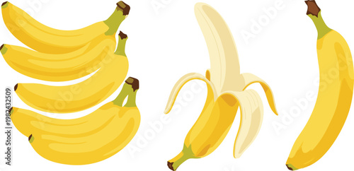 Fresh Yellow Banana Vector Set Featuring Ripe Fruit Bunches, a Half Peeled Banana, and Single Whole Banana Isolated for Healthy Food and Tropical Graphic Designs