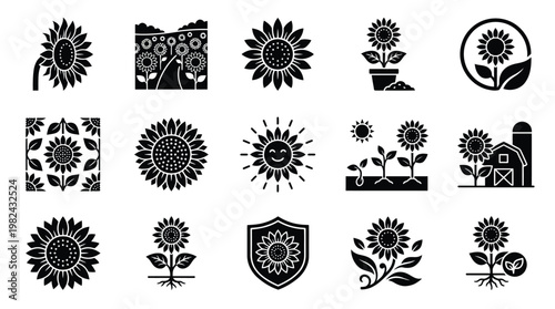 Collection of 15 Black and White Silhouette Icons Representing Sunflowers in Various Forms and Settings.