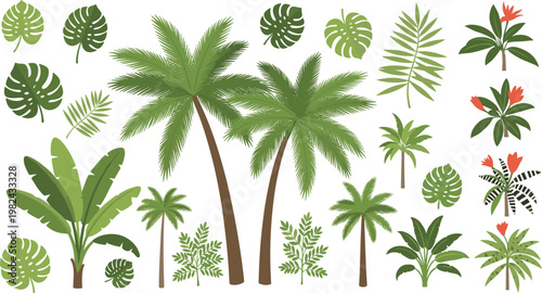 Large Tropical Plant and Palm Tree Vector Collection Featuring Monstera Leaves, Banana Trees, Exotic Jungle Foliage, and Island Greenery Isolated on White Background