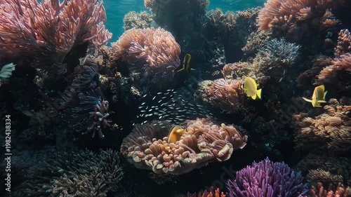 Vibrant Coral Reef with Yellow Fish Swimming.
