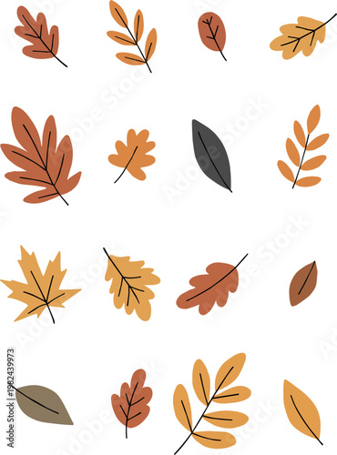 Colorful hand drawn style autumn leaves in various shapes isolated on a transparent background for seasonal design projects and decorations