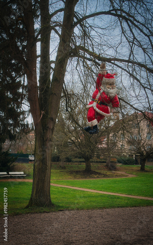 Santa Claus hanging on a tree in the park