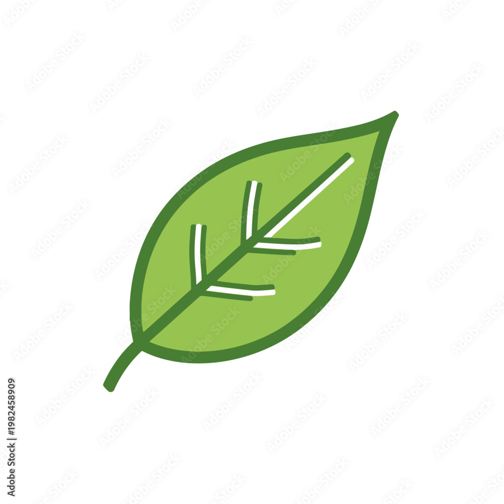 Obraz premium A vibrant green leaf with prominent veins