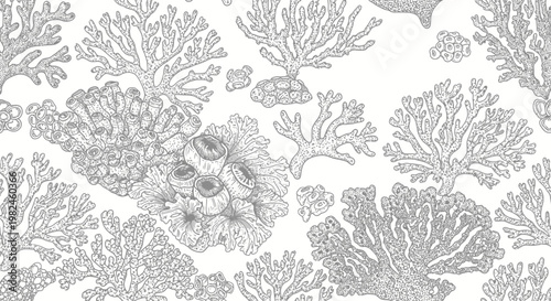 Black and white coral reef illustration for coloring book page