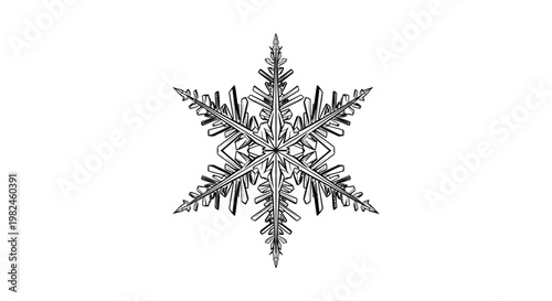 Det.ailed black and white snowflake illustration for winter designs.