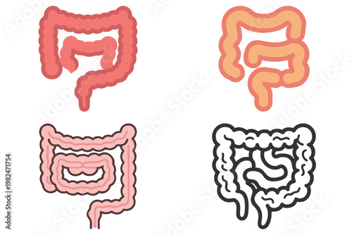 Intestine Vector Illustration - Human Digestive System Anatomy