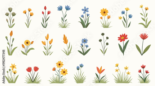 Set of diverse colorful flat design wildflowers and plants vector illustrations