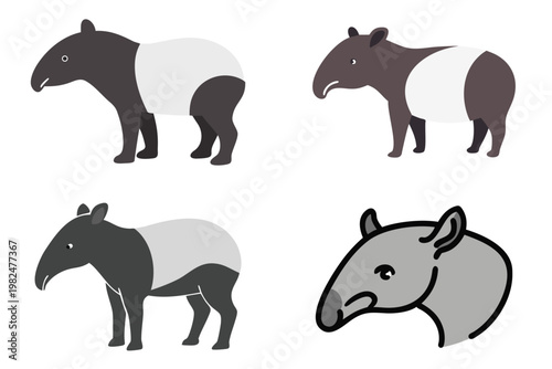 Tapir Vector Illustration - Cute Tropical Animal Art