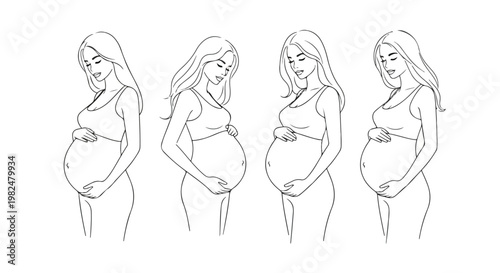 Pregnant Woman Belly Growth Stages Line Art Illustration Set