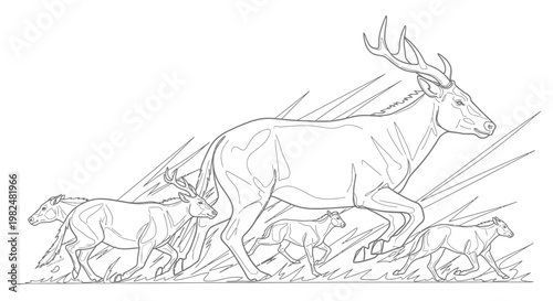 Running deer family in natural habitat line art illustration for coloring book. Wild animals outline drawing of a stag, doe, and fawns.
