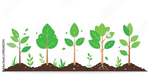 green plant growing in soil