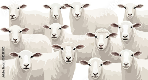 Illustration of a flock of white sheep, closely packed together and facing forward in a repeating pattern, presented in a cartoon style with soft lighting against a plain background