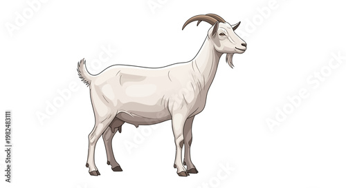 Detailed vector illustration of a domestic goat standing in profile against a clean white background, rendered with smooth lines and soft shadows to emphasize its form and texture