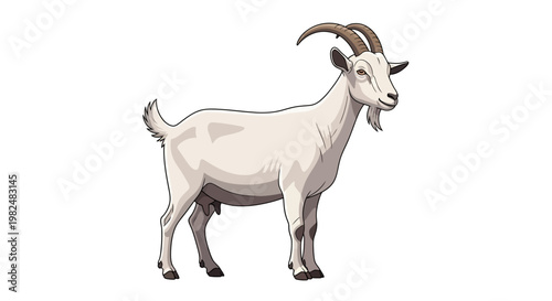 Isolated vector illustration of a white goat with curved horns standing against a blank backdrop, presented in a side-view composition with detailed textures and a calm, pastoral