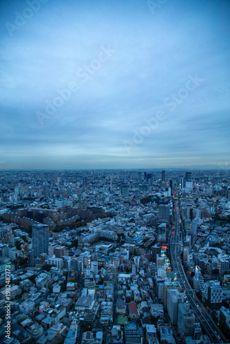 Skyline view in Tokyo, Japan
