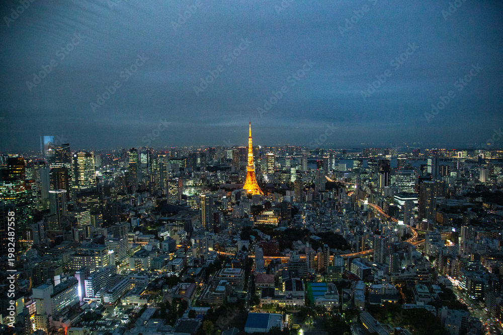Naklejka premium Skyline view in Tokyo, Japan