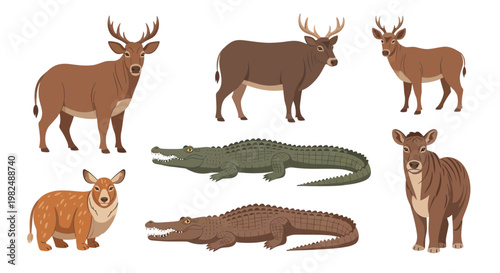 Collection of Diverse Animals: Deer, Alligators, and a Small Mammal