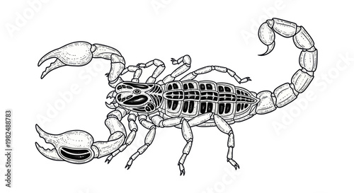 Detailed Black and White Scorpion Illustration on White Background