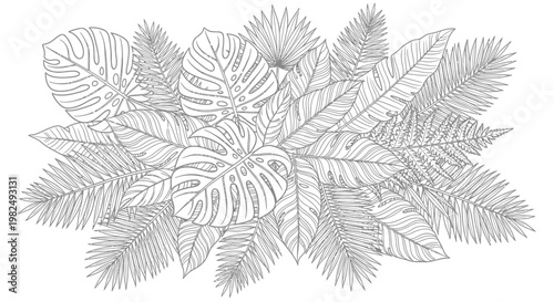 Exotic tropical leaves line art illustration. Botanical jungle foliage arrangement in black and white outline for design or coloring book.