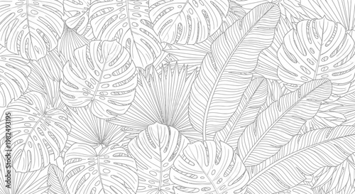 Seamless tropical leaves pattern, black and white line art botanical illustration with monstera and palm foliage background