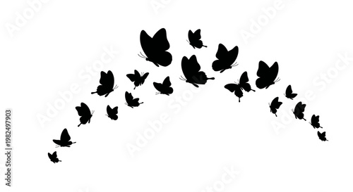 Flock of Black Butterflies Flying in Arc Shape