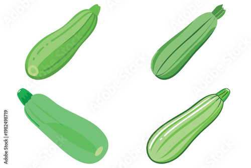 Zucchini Vegetable Vector Illustration - Fresh Green Squash Icon