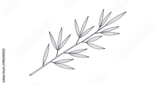 Delicate bamboo leaves line art illustration