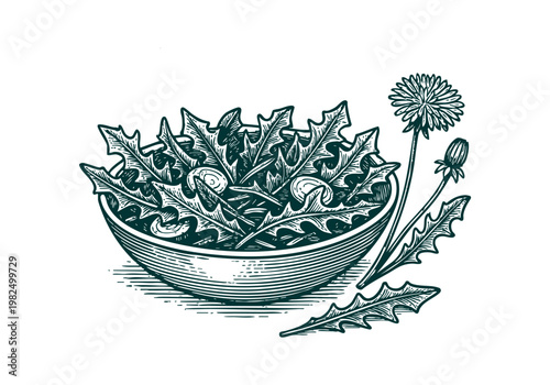 Dandelion Greens Hand Drawn Sketch, Wild Foraged Plant Vector Illustration Isolated