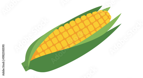 Vector illustration of a fresh yellow corn cob with green husk on a white background
