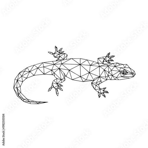 A black and white drawing of a lizard Vector, illustration