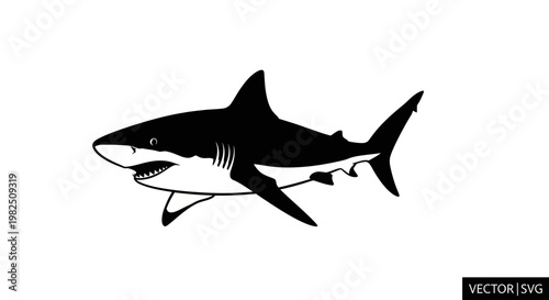 Silhouette of a Great White Shark swimming, vector illustration, isolated on white background