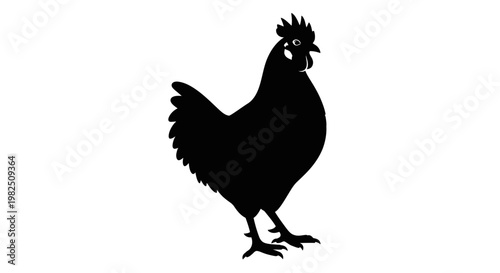 Black silhouette of a rooster standing on a white background