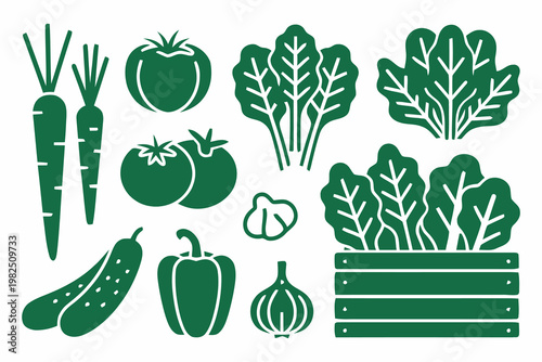 Set of fresh green vegetable icons for healthy food and cooking design