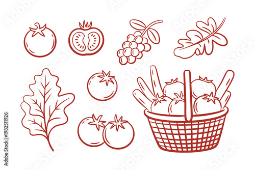 Hand drawn vector sketch of fresh tomatoes and green leaves in basket