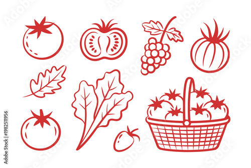 Hand drawn red tomato vegetable and harvest basket doodle set