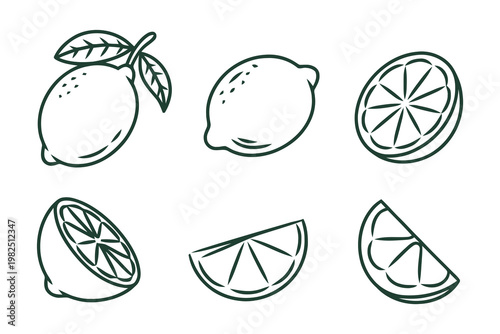 Set of black and white sketch icons of fresh lemon citrus fruits
